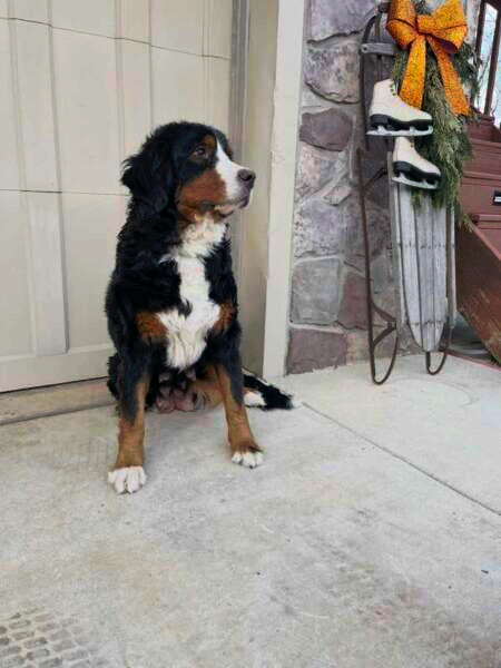 Keisha